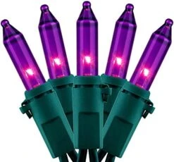 YULETIME Orange String Lights With Green Wire, 66 Feet 200 Count UL Certified Christmas Light, Pack Of 2 Sets 33 Ft 100 Opaque Mini Light Set For Halloween Thanksgiving Holidays (Orange) -National Tree Company Sale Shop 51Tp1zORauL. AC