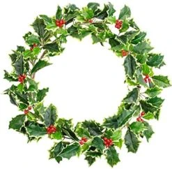 Weather Resistant Holly Candle Ring With Red Berries - Real Touch Artificial Lifelike Holly Candle Ring For Indoor Or Outdoor Christmas Holiday Decoration By Factory Direct Craft (10" Dia) -National Tree Company Sale Shop 51UAAQK4XNL. AC