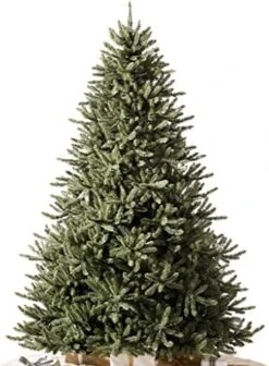 Balsam Hill 7ft Unlit Classic Blue Spruce Premium Artificial Christmas Tree -National Tree Company Sale Shop 51UhI GDMrL. AC