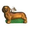 Old World Christmas Dog Collection Glass Blown Ornaments For Christmas Tree Dachshund, Model:12219 -National Tree Company Sale Shop 51VA4jf62QL