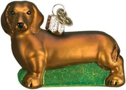 Old World Christmas Dog Collection Glass Blown Ornaments For Christmas Tree Dachshund, Model:12219 -National Tree Company Sale Shop 51VA4jf62QL. AC