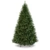Best Choice Products 7.5ft Hinged Douglas Full Fir Artificial Christmas Tree Holiday Decoration W/ 2,254 Branch Tips, Easy Assembly, Foldable Metal Stand, Green -National Tree Company Sale Shop 51YyFvJWAvL