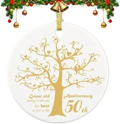 25 Years Anniversary Ornament, 2023 Christmas Hanging Ornament, 25th Years Couple Gifts For Wedding Anniversary, 25thHusband&Wife Married Decoration, 2023 Couple Christmas Ceramic Ornament With Ribbon -National Tree Company Sale Shop 51ZVjGsZtRL. AC