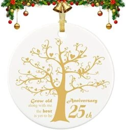 25 Years Anniversary Ornament, 2023 Christmas Hanging Ornament, 25th Years Couple Gifts For Wedding Anniversary, 25thHusband&Wife Married Decoration, 2023 Couple Christmas Ceramic Ornament With Ribbon -National Tree Company Sale Shop 51ZYz6RvxL. AC