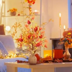 SY Super Bang Artificial Fall Small Berry Tree, 17Inch Table Top Mini Autumn Decorations With 20 LED, For Home Fireplace Harvest Thanksgiving Party Holiday Decor. -National Tree Company Sale Shop 51ZkRuZtL7L