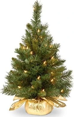 National Tree Company Pre-lit Artificial Mini Christmas Tree | Includes Small Lights And Cloth Bag Base | Majestic Fir - 2 Ft 16 National Tree Company Pre-lit Artificial Mini Christmas Tree | Includes Small Lights And Cloth Bag Base | Majestic Fir - 2 Ft -National Tree Company Sale Shop 51aDYpI0hYL. AC