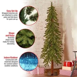 National Tree Company Artificial Christmas Tree | Hickory Cedar - 5 Ft -National Tree Company Sale Shop 51bSPyqE4PL