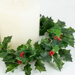 Weather Resistant Holly Candle Ring With Red Berries - Real Touch Artificial Lifelike Holly Candle Ring For Indoor Or Outdoor Christmas Holiday Decoration By Factory Direct Craft (10" Dia) -National Tree Company Sale Shop 51cSZA7xUbL. AC