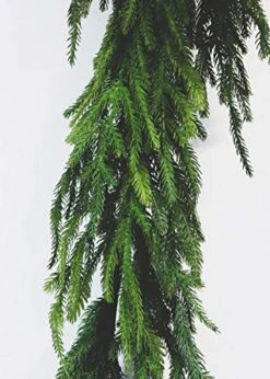 The Original Afloral Real Touch Norfolk Pine Garland - 60" -National Tree Company Sale Shop 51d4gqVTjYL