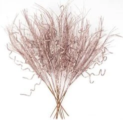 KI Store Glitter Curly Christmas Spray Set Of 12 Black Wispy Willow Christmas Picks For Halloween Christmas Tree Wreath Garland Bouquet Tree Topper Decoration 23 KI Store Glitter Curly Christmas Spray Set Of 12 Black Wispy Willow Christmas Picks For Halloween Christmas Tree Wreath Garland Bouquet Tree Topper Decoration -National Tree Company Sale Shop 51ettccKtvL. AC