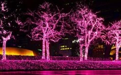 612 Vermont 100 Pink Christmas Lights On A White Wire String, UL Approved, Indoor/Outdoor Use, 18’ Of Lighted Length, 20’ Of Total Length -National Tree Company Sale Shop 51gWDWk7DfL