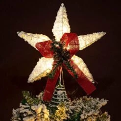 LAWOHO White Winter Christmas Tree Topper, Bauhinia 5 Point Star Tree Topper 11.81" X 10", Xmas Tree Topper Star Lighted With 10 Warm LED For Christmas Tree Ornaments Decorations Home Decor -National Tree Company Sale Shop 51haJiGU3wL. AC