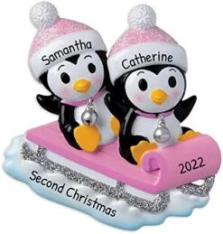 Personalized Babys First Christmas Ornament 2022 - My First Christmas Ornament 2022 - Alphabet Blocks Twin Babies First Christmas Ornament, 1st Christmas Baby Ornament 2022 - Free Customization 25 Personalized Babys First Christmas Ornament 2022 - My First Christmas Ornament 2022 - Alphabet Blocks Twin Babies First Christmas Ornament, 1st Christmas Baby Ornament 2022 - Free Customization -National Tree Company Sale Shop 51iFJrg3FzL. AC
