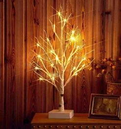 Hairui Pre Lit Tabletop Birch Tree With Timer 24LED 18IN Battery Operated For Easter Christmas Party Decoration 2 Sets -National Tree Company Sale Shop 51j9VxqjuxL. AC
