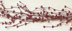 CWI Gifts Artificial Garland, 4 Ft, Burgundy -National Tree Company Sale Shop 51kMY yp7hL. AC