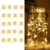 20 Pack LED Fairy Lights Battery Operated,7.2ft 20 LED Silver Wire Warm White Mason Jar Lights,Firefly Mini Led String Lights For Mason Jars Party Crafts Wedding Decorations -National Tree Company Sale Shop 51lCTjkcCJL
