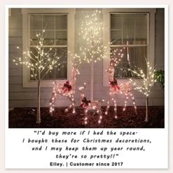 2 Pack 8FT Lighted Birch Tree 132 LED Artificial Tree For Decoration Inside And Outside, Home Patio Wedding Festival Christmas Decor, Warm White -National Tree Company Sale Shop 51ljJTtqwTL
