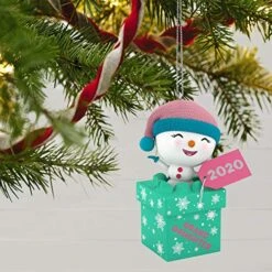 Hallmark Keepsake Christmas Ornament 2020 Year-Dated, The Gift Of Granddaughters Snowman (1399QGO1704) -National Tree Company Sale Shop 51myKEevOhL