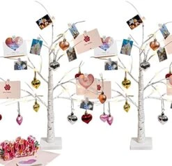 2-Pack 2FT Lighted Black Halloween Tree For Tabletop, Upgraded Spooky Tree With 24 LED Purple Lights, Battery Operated Or USB Halloween Tree With Lights For Halloween Decorations Indoor Home -National Tree Company Sale Shop 51oECOxunyL. AC