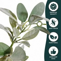 Quadow Artificial Lamb's Ear Greenery Garland, 6 Ft Long Artificial Lambs Ear Garlands Room Decor Green Leaves Vines Garland Home Party Garden Decor -National Tree Company Sale Shop 51rnMyN4kZL