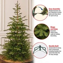 National Tree Company 'Feel Real' Artificial Christmas Tree - Norwegian Spruce Tree - 7.5 Ft -National Tree Company Sale Shop 51sNQ5cB0IL