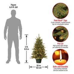 National Tree Company Artificial Christmas Tree For Entrances | Includes White Lights And Pot | Everyday Collections - 3 Ft -National Tree Company Sale Shop 51t4yDhxVGL