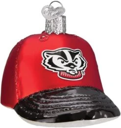 Old World Christmas University Of Wisconsin Badgers Glass Blown Ornaments For Christmas Tree Beanie -National Tree Company Sale Shop 51th1JygviL. AC