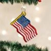 Old World Christmas Political Gifts Glass Blown Ornaments For Christmas Tree Star-Spangled -National Tree Company Sale Shop 51uEhuzehkL
