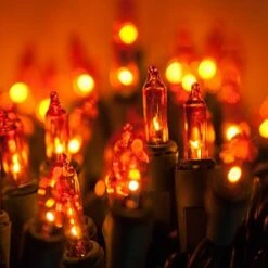 Kringle Traditions Incandescent Mini String Lights, Indoor Mini Tree Lights, Outdoor Christmas Mini Lights, Colorful Christmas Mini Lights, Green Wire (50 Lights / 6” Spacing / 25.5 Ft, Gold) -National Tree Company Sale Shop 51wUTDgWYmL. AC