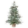 Vickerman 30" Caramel Pine Artificial Christmas Tree Unlit, Seasonal Indoor Home Decor With Decorative Burlap Base -National Tree Company Sale Shop 51yIBXUU9rL