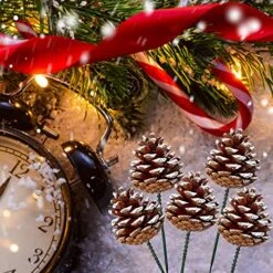 20 Pieces Christmas Pine Cones Decorations Picks - Snow Pine Cone For Xmas Tree Garland Wreath Ornaments Pinecones Decorating Winter Holidays Home -National Tree Company Sale Shop 61DsvUEUFrL