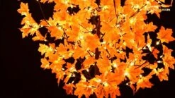 Lightshare 7FT LED Lighted Maple Tree - Dotted With 208 Warm White LED Lights Orange For Thanksgiving Harvest Fall Festival Home Party Decoration -National Tree Company Sale Shop 61L5IDMjBrL