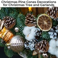 20 Pieces Christmas Pine Cones Decorations Picks - Snow Pine Cone For Xmas Tree Garland Wreath Ornaments Pinecones Decorating Winter Holidays Home -National Tree Company Sale Shop 61TOErbZQdL