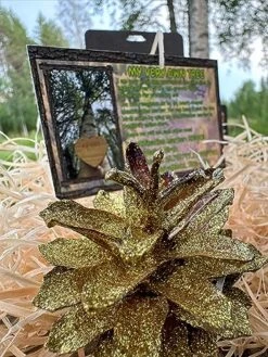 SunSilva Very Own Tree Birch Plywood Waxed Dark Sustainable Business Gift Tree In Finland Protect Forests -National Tree Company Sale Shop 61uoO6THe9L