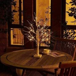 EAMBRITE Tabletop Tree Christmas Decorations, Mini Birch Tree With Lights, 24 LED Lighted Money Tree White Twig Tree Battery Operated With Timer, Home Centerpiece, Indoor Decor(2FT/Warm White) -National Tree Company Sale Shop 61y04uxxWYL