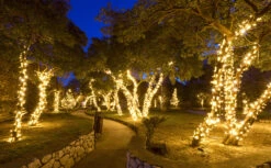 50 T5 Blue Christmas Tree Lights, 25.5' LED Christmas Lights Mini Lights Indoor-Outdoor Christmas String Lights Holiday Lights -National Tree Company Sale Shop 9183pgkVDJL