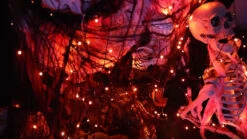 Toodour Halloween Orange Lights, 131ft 350 LED Plug In Halloween String Lights With 8 Modes And Timer, Connectable Outdoor Halloween Lights For Home, Party, Halloween Decor -National Tree Company Sale Shop 91V9roVBrQL