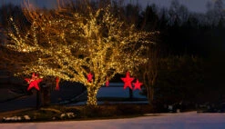 Kringle Traditions Blue LED Christmas Mini String Light Set, 50 Lights, 17 Ft Indoor/Outdoor Blue Christmas Lights Decorations Blue LED Christmas Lights Outdoor Christmas String Lights, 4" Spacing -National Tree Company Sale Shop A1kAVrQey4L